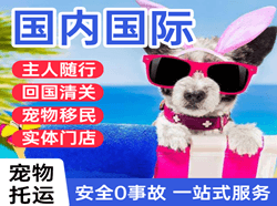 张家口航空快运国际宠物托运 【国